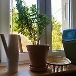 Flower Street Apartment