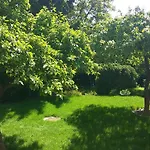 Aniolki