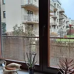 Pelican - Czarny Dwor A