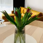Przystan Letnikow By Mypart In Your Apartment