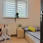 Cheerful Room