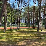 Apartament Nadmorski Las Gdansk Brzezno