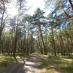 Słoneczne Tarasy 2 - Amber