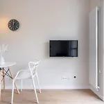 Brzezno Studio Deluxe