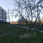 Apple Flat