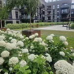 Serce miasta Gdansk apartament