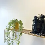 Mmrent Swamp Room