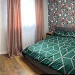 Bursztynowy Apartament 2 Dlugie Ogrody W Sercu Gdanska