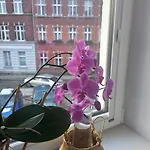 Apartament Prowansalski Z Miejscem Parkingowym