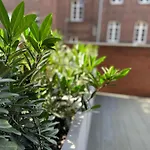 Apartament Bastion Walowa 8
