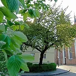 Katarzynka Gdansk Stare Miasto