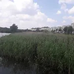 Sloneczne, Komfortowe Z Osoba Kuchnia