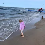 Spiew Mew / Seagulls Sing