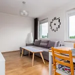 Brzezno Homely Apartment