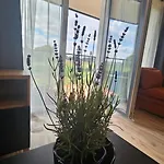 M&K Apartament Ptasi Raj - Wyspa Sobieszewska Gdansk