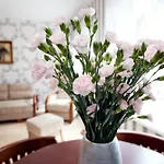 Elite Apartments Ogarna Comfort