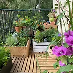 Green House Oliwa