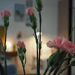 Apartament Amarillo 2