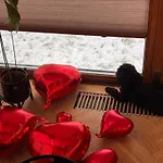 Sloneczny Apartament Z Kominkiem
