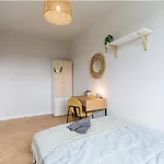 Cuddle Room
