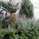 Apartament Malczewskiego