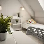 Za Murami Hostel