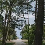 Blue Buddy - Hamptons