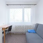 Sunny Beach Apartment Brzezno