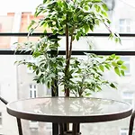 Apartments Nowa Grobla By Renters