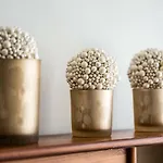 Apartament \