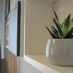 Apartament Natura