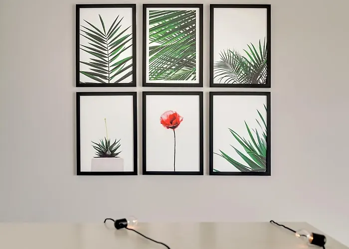 Studio Baltica Brzezno