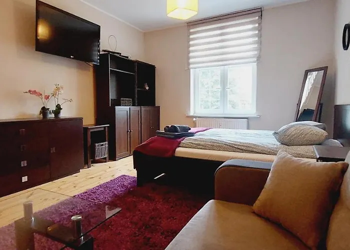 Central Apartments Dluga 1