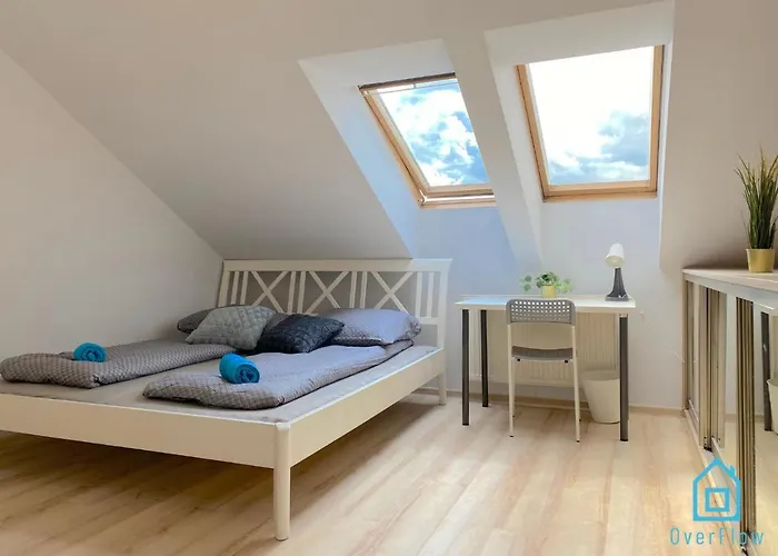 Teddy Bear Room