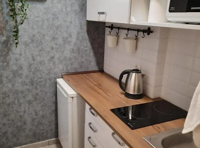 Apartament Orlowska