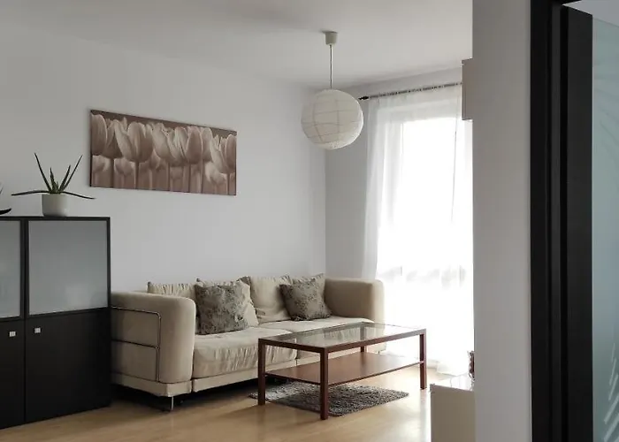 Apartament 3 Pokojowy Nieborowska