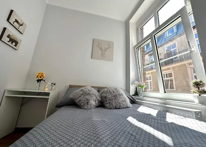 Mmrent Wild Room