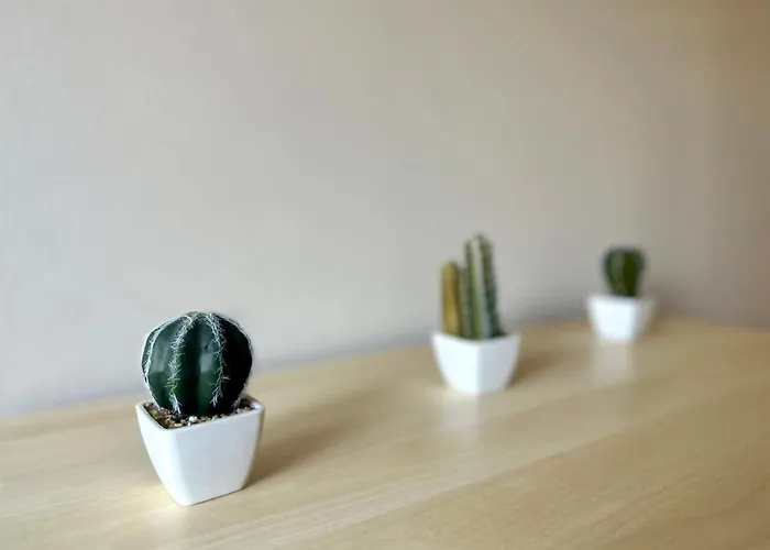 Mmrent Desert Room