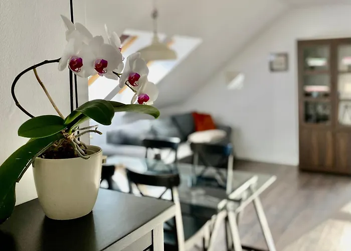 Apartment Storczykowa Airport