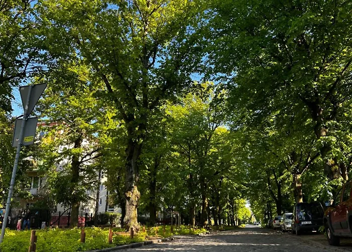 65M2 W Spokojnej Oliwskiej Okolicy