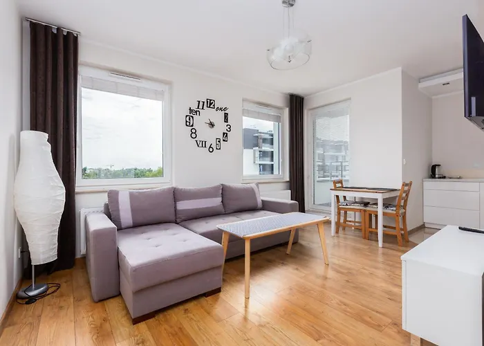 Brzezno Homely Apartment