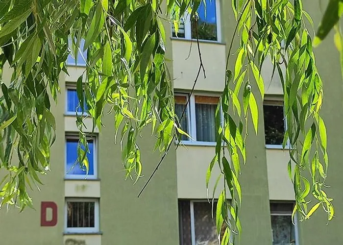 Apartament Orange