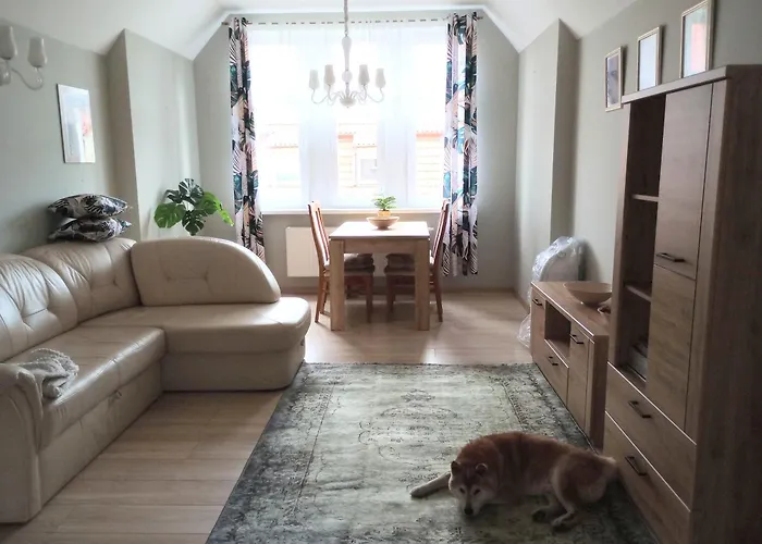 Apartament Shiba