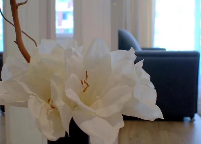 IRS ROYAL APARTMENTS Apartamenty IRS Trzy Żagle