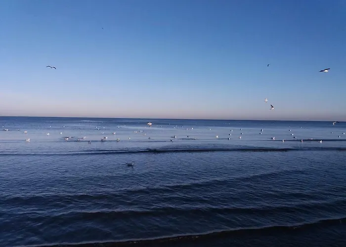 Sound Of The Sea