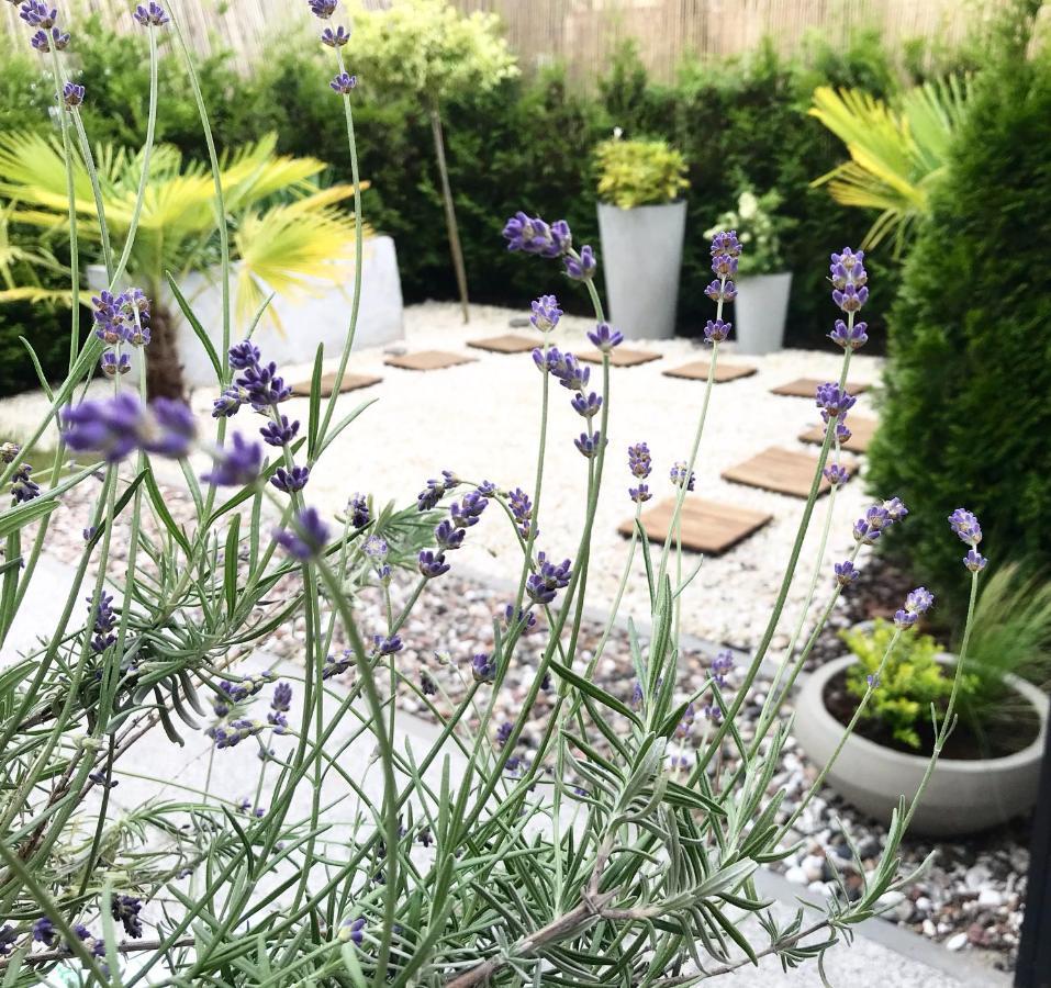 Apartment & Garden In The Old Town *