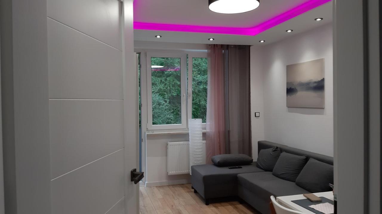 Srodmiescie Apartment *