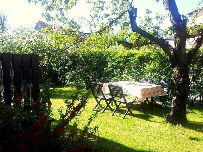 Olive Hostel *