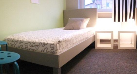 Olive Hostel