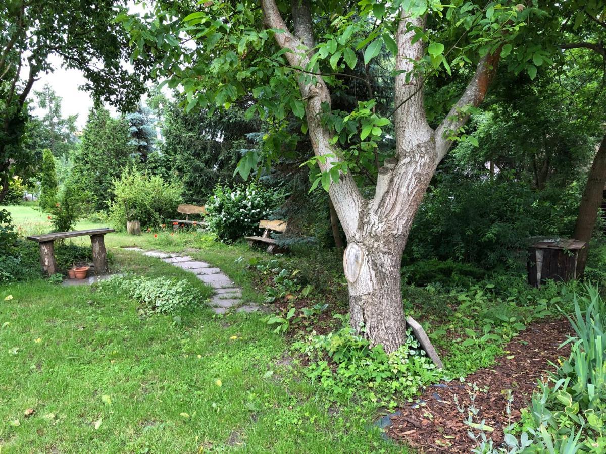 Semesterbostad Caloroczny Blisko Lasu I Morza Na Urokliwej Dzialce 4300 M2 Gdańsk